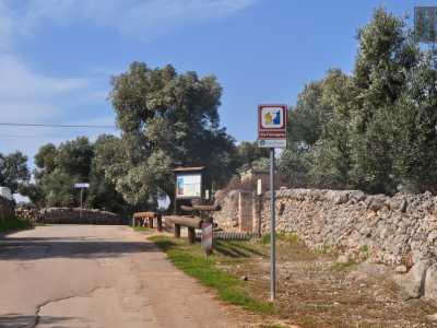 Dopo qualche centinaio di metri sbuchiamo sulla via Francigena, un antico itinerario da sempre percorso dai pellegrini. In questo tratto la strada riprende il tracciato della via Traiana, realizzata tra il 108 e il 110 d.C. per mettere in comunicazione Roma con Brindisi